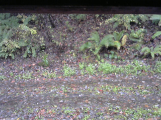 長野県菅平高原 ゆたか山荘 南側 2025/10/26 09:00