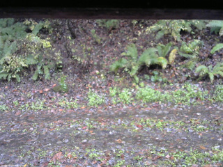 長野県菅平高原 ゆたか山荘 南側 2025/10/26 09:30