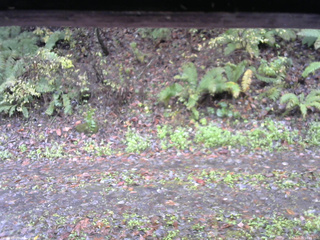 長野県菅平高原 ゆたか山荘 南側 2025/10/26 10:45