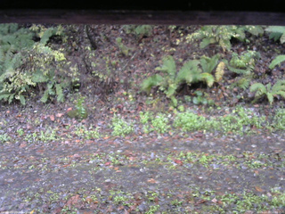 長野県菅平高原 ゆたか山荘 南側 2025/10/26 11:00