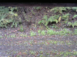 長野県菅平高原 ゆたか山荘 南側 2025/10/26 11:15