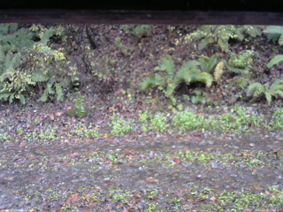 長野県菅平高原 ゆたか山荘 南側 2025/10/26 11:30