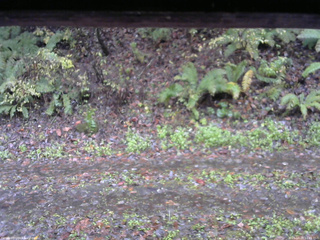 長野県菅平高原 ゆたか山荘 南側 2025/10/26 11:45