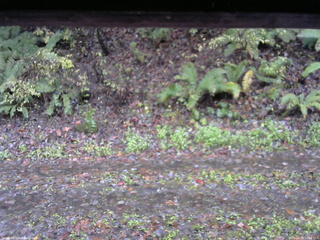 長野県菅平高原 ゆたか山荘 南側 2025/10/26 12:00