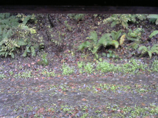 長野県菅平高原 ゆたか山荘 南側 2025/10/26 12:45