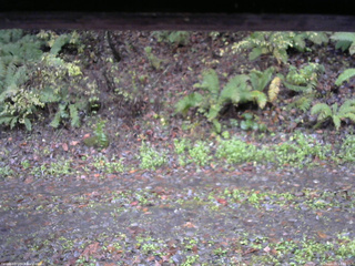 長野県菅平高原 ゆたか山荘 南側 2025/10/26 13:30