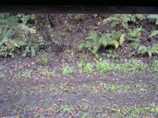 長野県菅平高原 ゆたか山荘 南側 2025/10/26 14:15