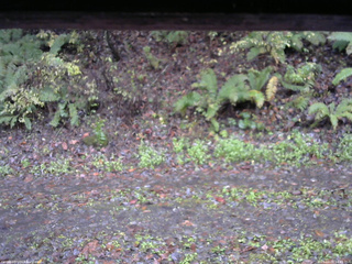 長野県菅平高原 ゆたか山荘 南側 2025/10/26 14:45