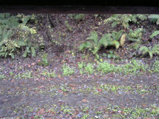 長野県菅平高原 ゆたか山荘 南側 2025/10/26 15:00