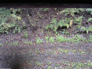 長野県菅平高原 ゆたか山荘 南側 2025/10/26 15:45