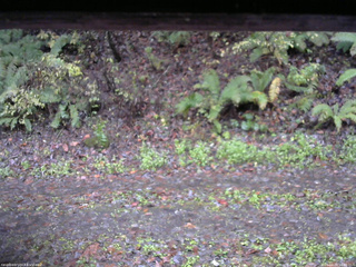 長野県菅平高原 ゆたか山荘 南側 2025/10/26 16:00