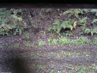 長野県菅平高原 ゆたか山荘 南側 2025/10/26 16:15