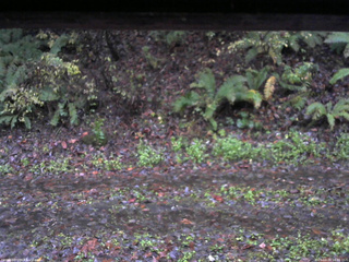 長野県菅平高原 ゆたか山荘 南側 2025/10/26 16:30