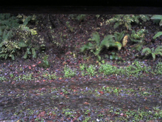 長野県菅平高原 ゆたか山荘 南側 2025/10/26 16:45