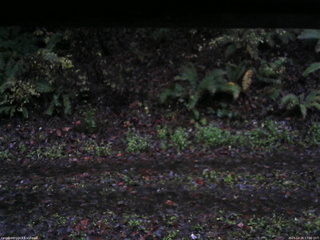 長野県菅平高原 ゆたか山荘 南側 2025/10/26 17:00