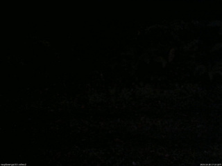 長野県菅平高原 ゆたか山荘 南側 2025/10/26 17:15