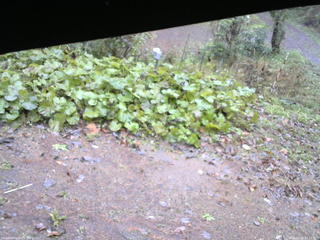 長野県菅平高原 ゆたか山荘 駐車場 2025/10/26 11:15