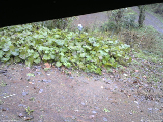 長野県菅平高原 ゆたか山荘 駐車場 2025/10/26 13:30