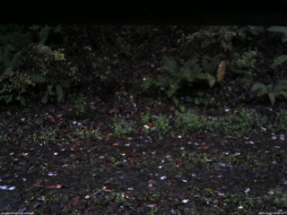 長野県菅平高原 ゆたか山荘 南側 2025/10/27 06:00