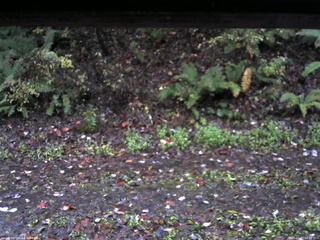 長野県菅平高原 ゆたか山荘 南側 2025/10/27 06:15