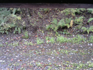 長野県菅平高原 ゆたか山荘 南側 2025/10/27 07:00