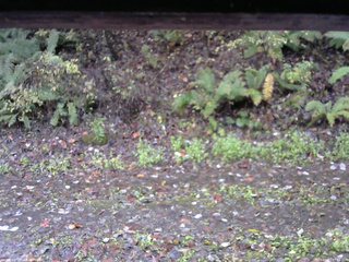 長野県菅平高原 ゆたか山荘 南側 2025/10/27 07:15