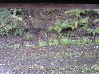 長野県菅平高原 ゆたか山荘 南側 2025/10/27 07:30