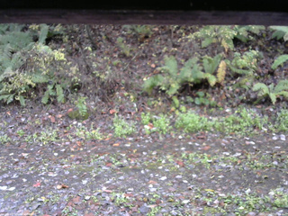 長野県菅平高原 ゆたか山荘 南側 2025/10/27 08:15