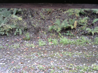 長野県菅平高原 ゆたか山荘 南側 2025/10/27 09:00