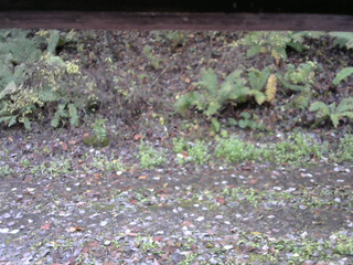 長野県菅平高原 ゆたか山荘 南側 2025/10/27 09:30