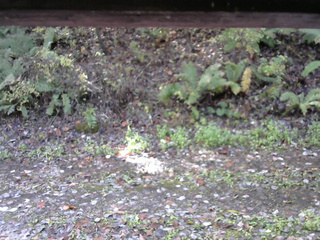 長野県菅平高原 ゆたか山荘 南側 2025/10/27 09:45