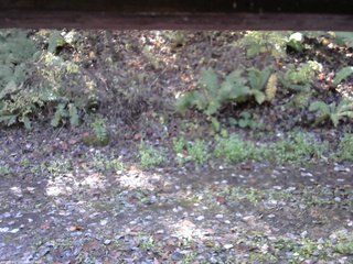 長野県菅平高原 ゆたか山荘 南側 2025/10/27 10:00