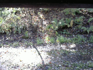 長野県菅平高原 ゆたか山荘 南側 2025/10/27 10:30