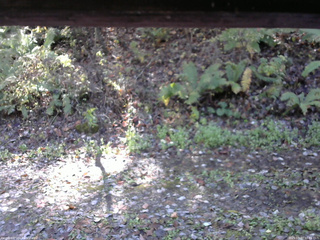 長野県菅平高原 ゆたか山荘 南側 2025/10/27 10:45