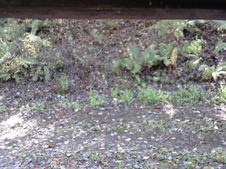 長野県菅平高原 ゆたか山荘 南側 2025/10/27 11:00