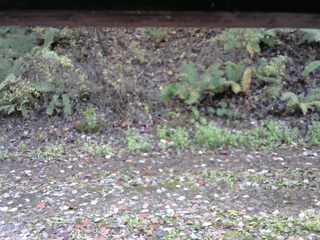 長野県菅平高原 ゆたか山荘 南側 2025/10/27 11:30