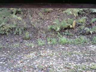 長野県菅平高原 ゆたか山荘 南側 2025/10/27 12:15