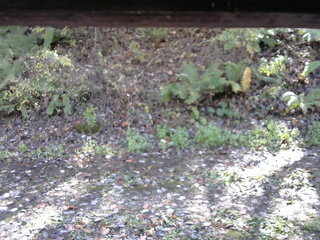 長野県菅平高原 ゆたか山荘 南側 2025/10/27 12:30