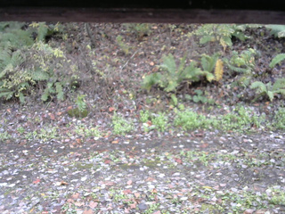 長野県菅平高原 ゆたか山荘 南側 2025/10/27 12:45