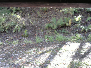 長野県菅平高原 ゆたか山荘 南側 2025/10/27 13:00