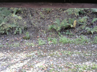 長野県菅平高原 ゆたか山荘 南側 2025/10/27 13:15