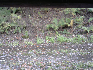 長野県菅平高原 ゆたか山荘 南側 2025/10/27 13:45