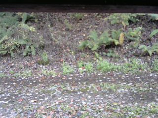 長野県菅平高原 ゆたか山荘 南側 2025/10/27 14:00