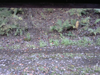 長野県菅平高原 ゆたか山荘 南側 2025/10/27 15:00