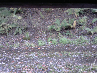 長野県菅平高原 ゆたか山荘 南側 2025/10/27 15:45