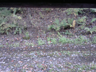 長野県菅平高原 ゆたか山荘 南側 2025/10/27 16:00