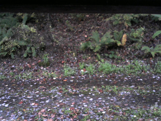 長野県菅平高原 ゆたか山荘 南側 2025/10/27 17:00