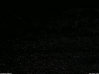 長野県菅平高原 ゆたか山荘 南側 2025/10/27 17:15