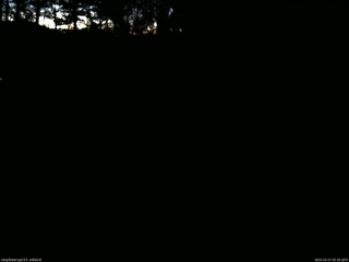 長野県菅平高原 ゆたか山荘 東側(坂下) 2025/10/27 05:30