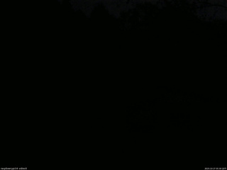 長野県菅平高原 ゆたか山荘 西側(坂上) 2025/10/27 05:30
